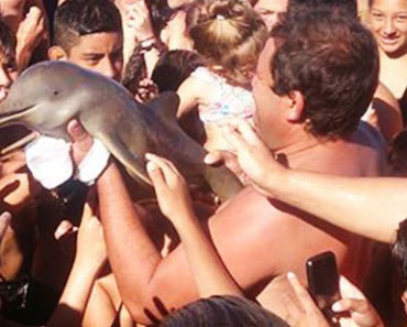 Bebe delfin muere en Argentina por causa de selfies